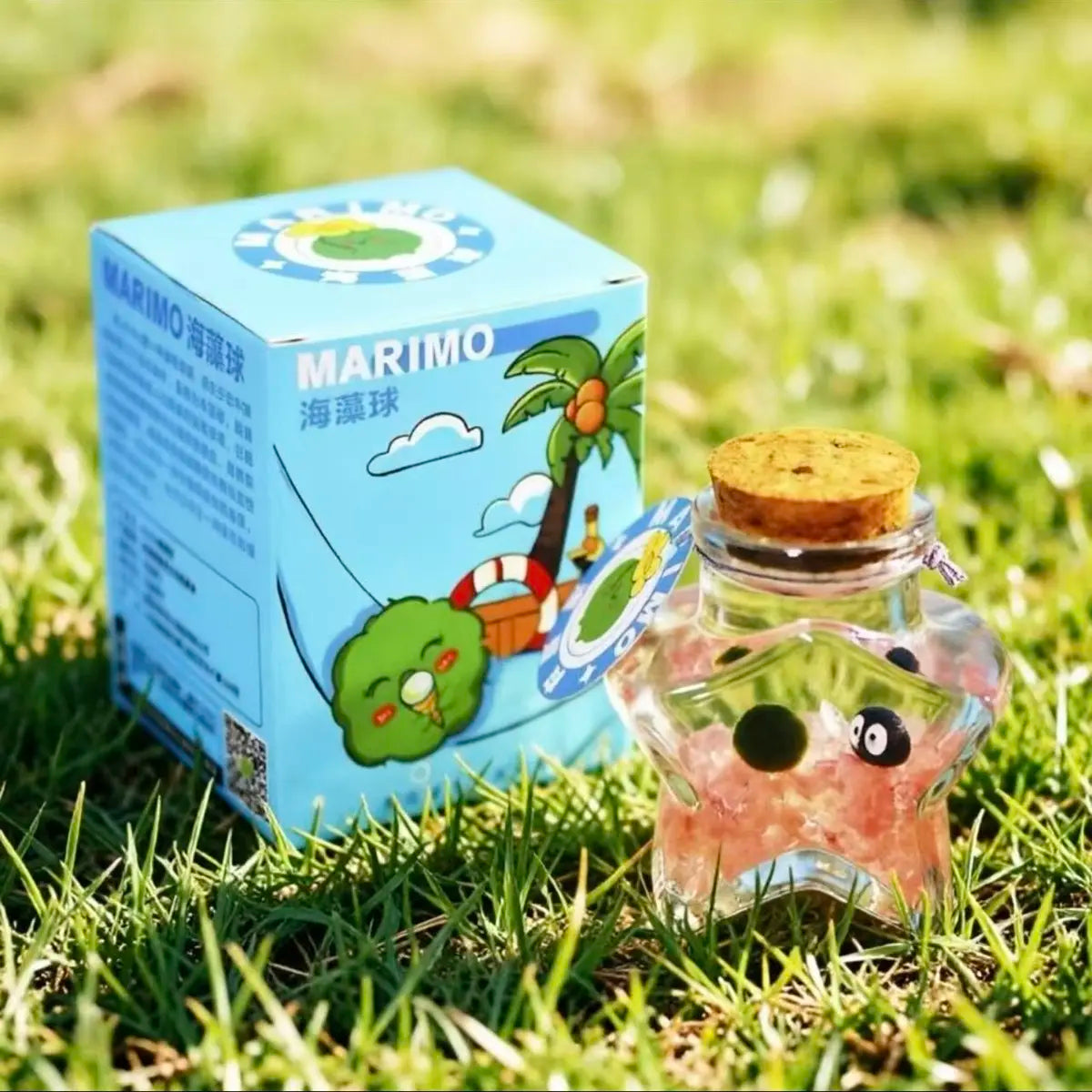 Healing Marimo Wishing Bottle Terrarium - Craft Your Soothing, Closed Ecosystem, a Low-Maintenance Starry Micro-Landscape Habitat for Mindfulness & Visual Calm (Includes LIVELY Moss Ball Pet)