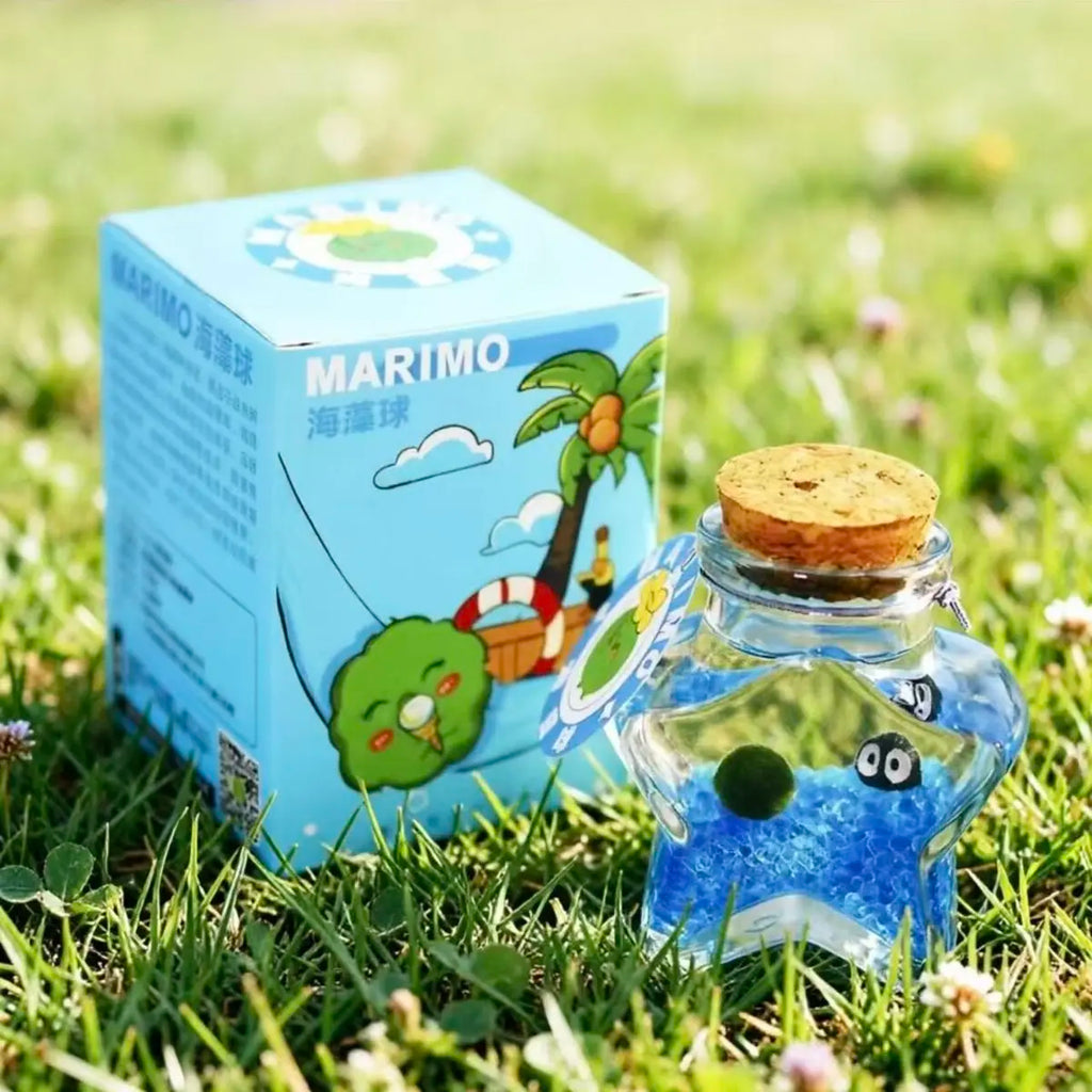 Healing Marimo Wishing Bottle Terrarium - Craft Your Soothing, Closed Ecosystem, a Low-Maintenance Starry Micro-Landscape Habitat for Mindfulness & Visual Calm (Includes LIVELY Moss Ball Pet)