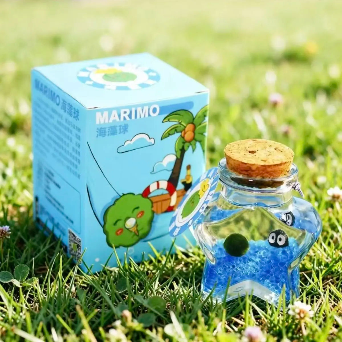 Healing Marimo Wishing Bottle Terrarium - Craft Your Soothing, Closed Ecosystem, a Low-Maintenance Starry Micro-Landscape Habitat for Mindfulness & Visual Calm (Includes LIVELY Moss Ball Pet)
