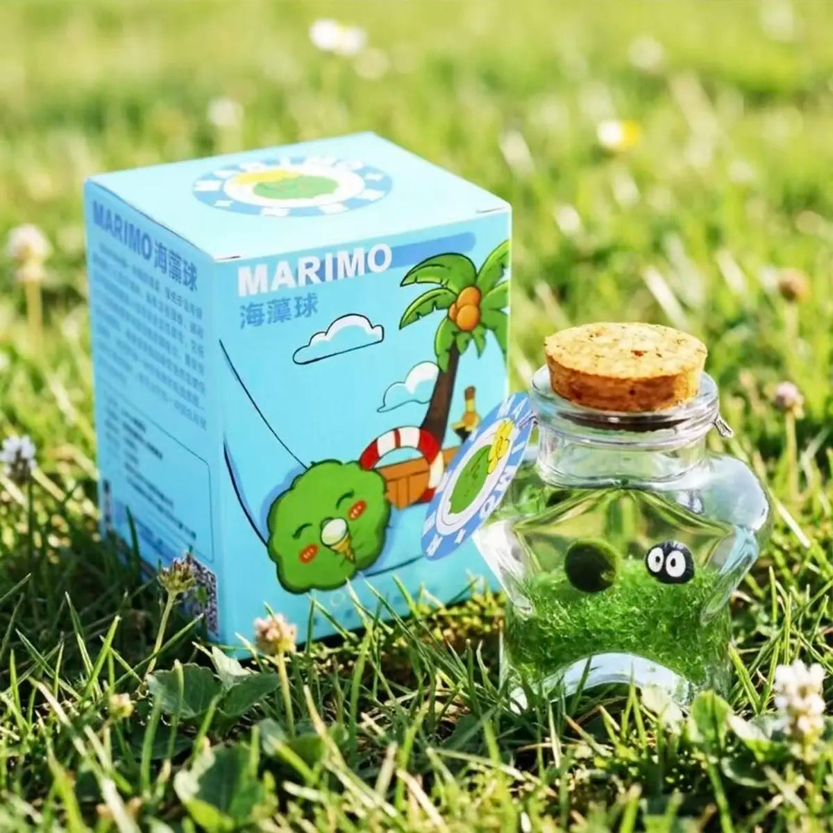 Healing Marimo Wishing Bottle Terrarium - Craft Your Soothing, Closed Ecosystem, a Low-Maintenance Starry Micro-Landscape Habitat for Mindfulness & Visual Calm (Includes LIVELY Moss Ball Pet)