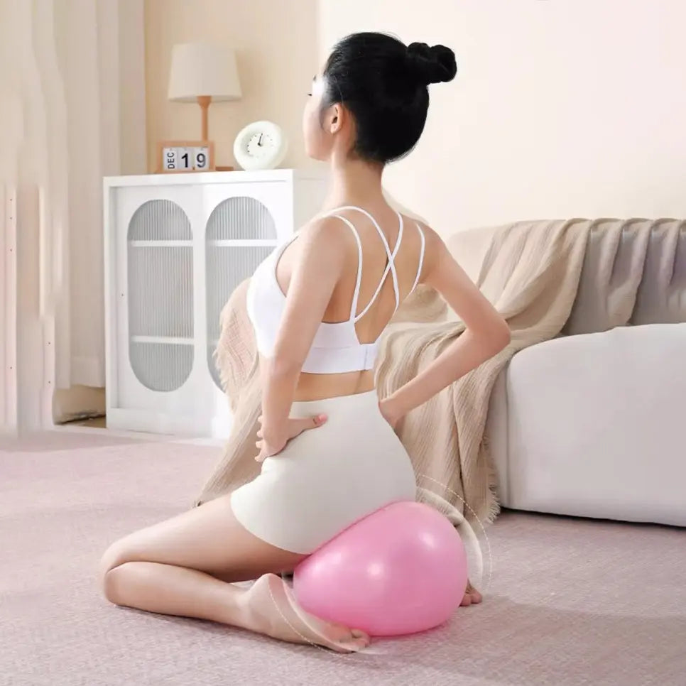 Pilates Yoga Ball,9.5-10In,Explosion-Proof & anti Slip Fitness Ball,Core Stability Exercise Ball,Home Exercise Equipment, Fitness Tool